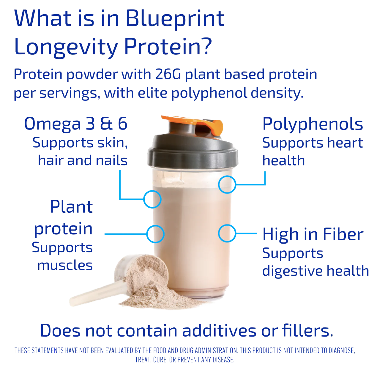 Blueprint Protein.png